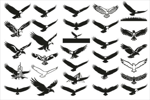 Powerful Eagle Flying Wall Art Design